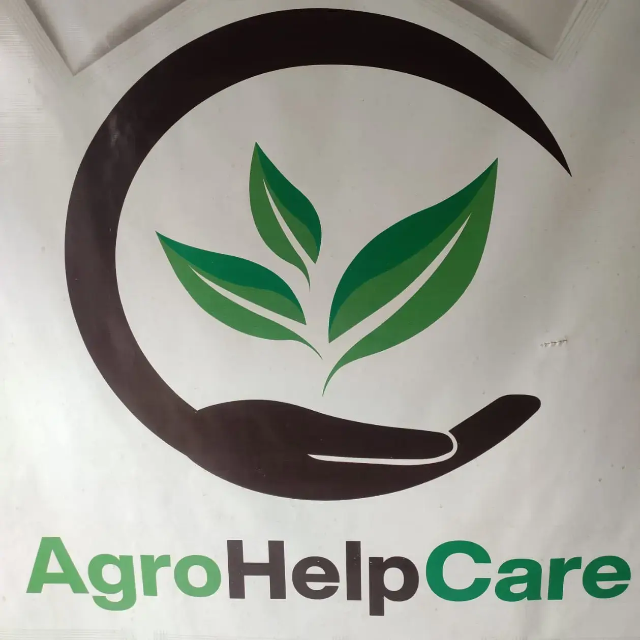 store logo